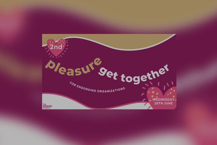 Second Convening of the Endorsing Organizations – Serving Up Pleasure